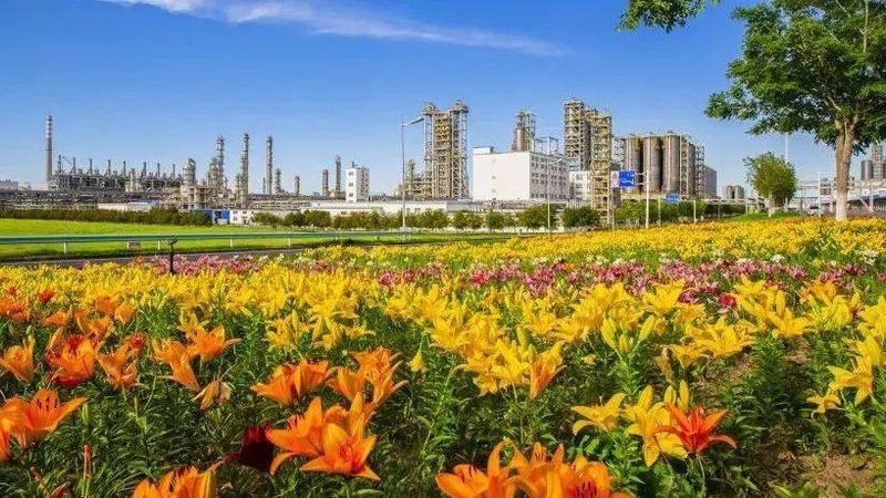 上海分散剂价格揭秘：如何合理选择与评估**